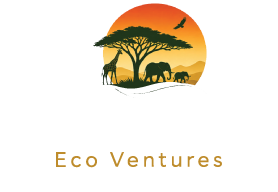 Mbuga Eco Ventures